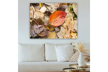 Canvastavla 70x100 cm - Färgglada höstlöv på en fuktig markyta - Röd / Brun / Gul - Inredning - Tavlor & posters - Canvastavla
