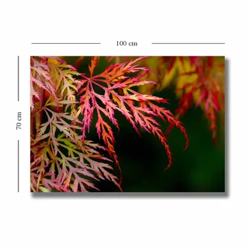 Canvastavla 70x100 cm - Färgglada lönnlöv i olika nyanser av rött och rosa - Röd / Rosa / Grön - Inredning - Tavlor & posters - Canvastavla