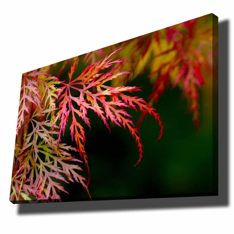 Canvastavla 70x100 cm - Färgglada lönnlöv i olika nyanser av rött och rosa, Röd / Rosa / Grön