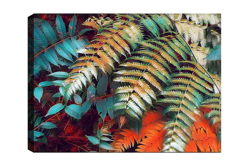 Canvastavla 70x100 cm - Färgglada ormbunksblad i en livlig komposition, Turkos / Grön / Orange