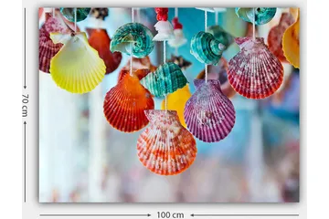 Canvastavla 70x100 cm - Färgglada snäckor hängande i en dekorativ uppsättning - Röd / Grön / Orange - Inredning - Tavlor & posters - Canvastavla