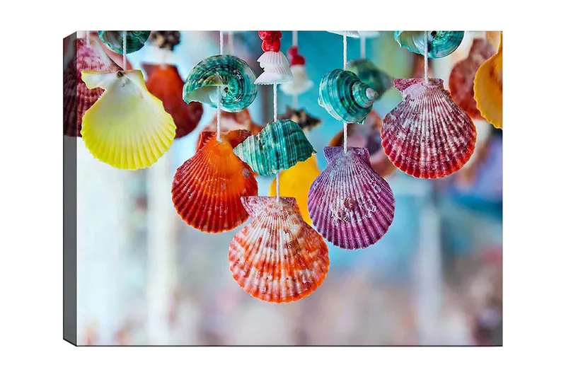Canvastavla 70x100 cm - Färgglada snäckor hängande i en dekorativ uppsättning, Röd / Grön / Orange