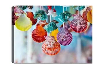 Canvastavla 70x100 cm - Färgglada snäckor hängande i en dekorativ uppsättning - Röd / Grön / Orange - Inredning - Tavlor & posters - Canvastavla