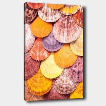 Canvastavla 70x100 cm - Färgglada snäckskal i ett vackert mönster - Orange / Lila / Rosa - Inredning - Tavlor & posters - Canvastavla