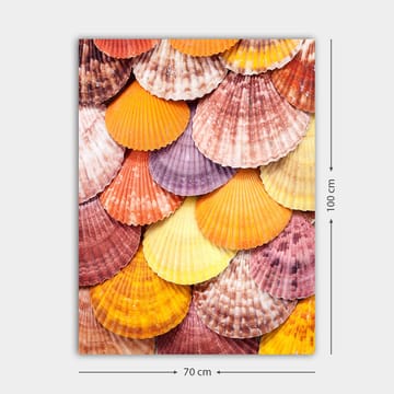 Canvastavla 70x100 cm - Färgglada snäckskal i ett vackert mönster - Orange / Lila / Rosa - Inredning - Tavlor & posters - Canvastavla