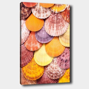 Canvastavla 70x100 cm - Färgglada snäckskal i ett vackert mönster - Orange / Lila / Rosa - Inredning - Tavlor & posters - Canvastavla