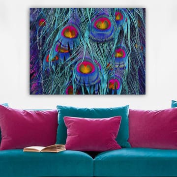 Canvastavla 70x100 cm - Färgglada påfågelfjädrar med en hypnotiserande mönstring - Turkos / Lila / Röd - Inredning - Tavlor & posters - Canvastavla