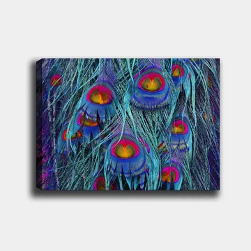 Canvastavla 70x100 cm - Färgglada påfågelfjädrar med en hypnotiserande mönstring - Turkos / Lila / Röd - Inredning - Tavlor & posters - Canvastavla