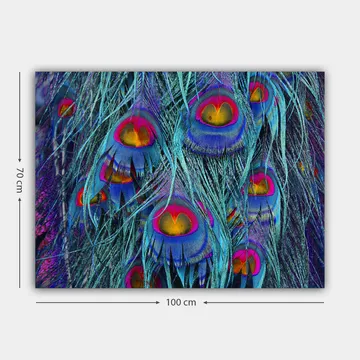 Canvastavla 70x100 cm - Färgglada påfågelfjädrar med en hypnotiserande mönstring - Turkos / Lila / Röd - Inredning - Tavlor & posters - Canvastavla