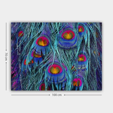 Canvastavla 70x100 cm - Färgglada påfågelfjädrar med en hypnotiserande mönstring - Turkos / Lila / Röd - Inredning - Tavlor & posters - Canvastavla