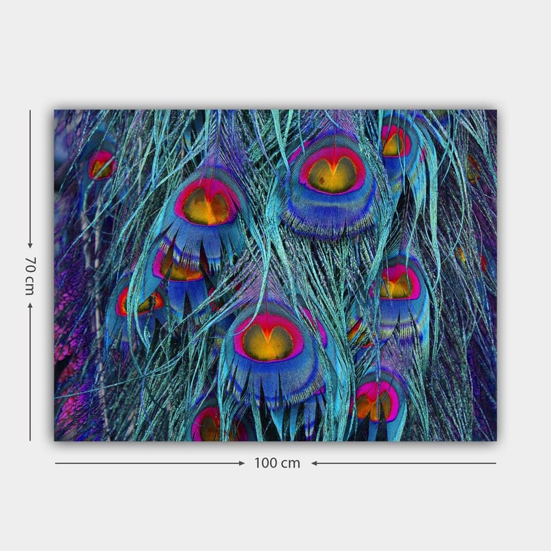 Canvastavla 70x100 cm - Färgglada påfågelfjädrar med en hypnotiserande mönstring - Turkos / Lila / Röd - Inredning - Tavlor & posters - Canvastavla