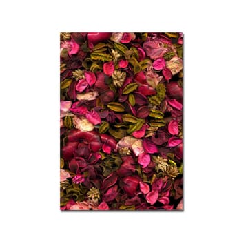Canvastavla 70x100 cm - F ärgsprakande samling av torkade blommor och blad - Rosa / Grön / Brun - Inredning - Tavlor & posters - Canvastavla