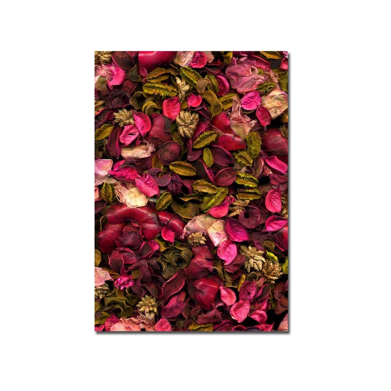 Canvastavla 70x100 cm - Färgsprakande samling av torkade blommor och blad - Rosa / Grön / Brun - Inredning - Tavlor & posters - Canvastavla