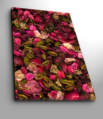 Canvastavla 70x100 cm - Färgsprakande samling av torkade blommor och blad - Rosa / Grön / Brun - Inredning - Tavlor & posters - Canvastavla