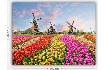Canvastavla 70x100 cm - Färgsprakande tulpanfält med vindmöllor i bakgrunden - Röd / Rosa / Gul - Inredning - Tavlor & posters - Canvastavla