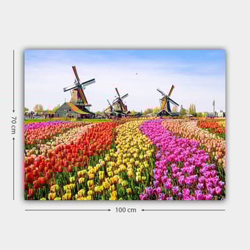 Canvastavla 70x100 cm - Färgsprakande tulpanodling med vindmölla i bakgrunden - Röd / Gul / Rosa - Inredning - Tavlor & posters - Canvastavla