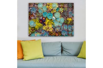 Canvastavla 70x100 cm - Färgstark samling av olika suckulenter i varierande former och nyanser - Turkos / Grön / Gul - Inredning - Tavlor & posters - Canvastavla