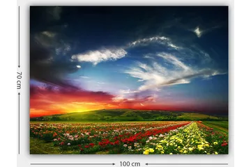 Canvastavla 70x100 cm - Färgstark solnedgång över ett blomsterfält med varierande blommor i förgrunden - Röd / Gul / Grön - Inredning - Tavlor & posters - Canvastavla