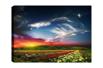 Canvastavla 70x100 cm - Färgstark solnedgång över ett blomsterfält med varierande blommor i förgrunden - Röd / Gul / Grön - Inredning - Tavlor & posters - Canvastavla