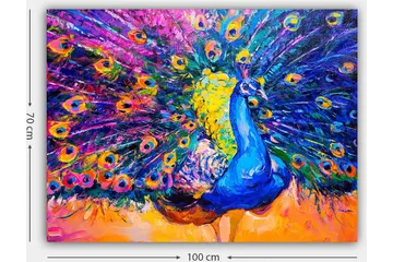 Canvastavla 70x100 cm - Färgstark påfågel med utspridda fjädrar som skapar en dramatisk effekt - Blå / Lila / Gul - Inredning - Tavlor & posters - Canvastavla