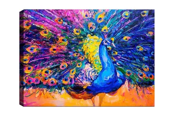 Canvastavla 70x100 cm - Färgstark påfågel med utspridda fjädrar som skapar en dramatisk effekt - Blå / Lila / Gul - Inredning - Tavlor & posters - Canvastavla