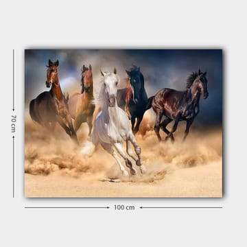 Canvastavla 70x100 cm - Fem hästar i full galopp genom sand och damm - Vit / Brun / Svart - Inredning - Tavlor & posters - Canvastavla