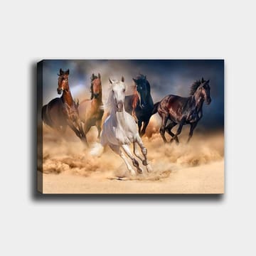 Canvastavla 70x100 cm - Fem hästar i full galopp genom sand och damm - Vit / Brun / Svart - Inredning - Tavlor & posters - Canvastavla