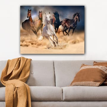 Canvastavla 70x100 cm - Fem hästar i full galopp genom sand och damm - Vit / Brun / Svart - Inredning - Tavlor & posters - Canvastavla