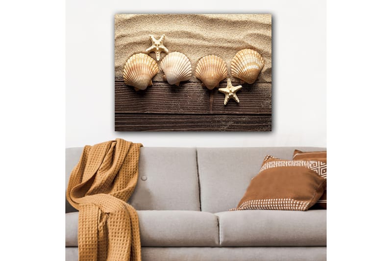 Canvastavla 70x100 cm - Fem snäckor och en sjöstjärna på sandig bakgrund, Beige / Brun / Vit