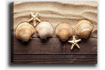 Canvastavla 70x100 cm - Fem snäckor och en sjöstjärna på sandig bakgrund - Beige / Brun / Vit - Inredning - Tavlor & posters - Canvastavla