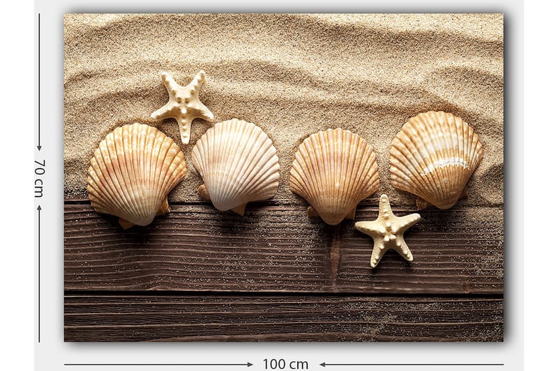 Canvastavla 70x100 cm - Fem snäckor och en sjöstjärna på sandig bakgrund - Beige / Brun / Vit - Inredning - Tavlor & posters - Canvastavla
