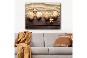 Canvastavla 70x100 cm - Fem snäckor och en sjöstjärna på sandig bakgrund - Beige / Brun / Vit - Inredning - Tavlor & posters - Canvastavla