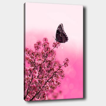 Canvastavla 70x100 cm - Fjäril som sitter på en blommande gren med rosa blommor - Mörk rosa / Ljus rosa / Svart - Inredning - Tavlor & posters - Canvastavla