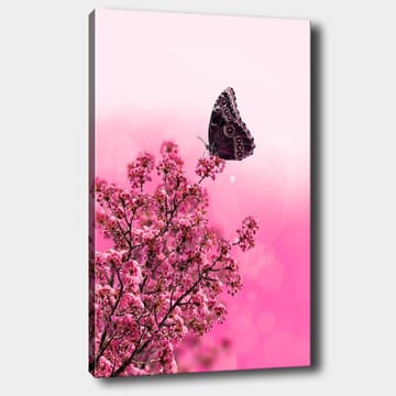 Canvastavla 70x100 cm - Fjäril som sitter på en blommande gren med rosa blommor - Mörk rosa / Ljus rosa / Svart - Inredning - Tavlor & posters - Canvastavla