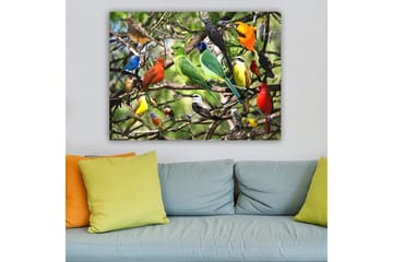 Canvastavla 70x100 cm - Flera färgglada fåglar som sitter på grenar i en livlig naturmiljö - Grön / Röd / Blå - Inredning - Tavlor & posters - Canvastavla