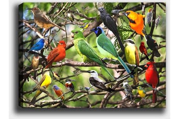 Canvastavla 70x100 cm - Flera färgglada fåglar som sitter på grenar i en livlig naturmiljö - Grön / Röd / Blå - Inredning - Tavlor & posters - Canvastavla