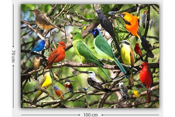 Canvastavla 70x100 cm - Flera färgglada fåglar som sitter på grenar i en livlig naturmiljö - Grön / Röd / Blå - Inredning - Tavlor & posters - Canvastavla