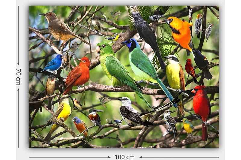 Canvastavla 70x100 cm - Flera färgglada fåglar som sitter på grenar i en livlig naturmiljö - Grön / Röd / Blå - Inredning - Tavlor & posters - Canvastavla