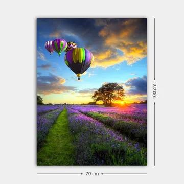 Canvastavla 70x100 cm - Flera färgglada luftballonger sväva över ett lavendelfält i solnedgångens ljus - Lila / Grön / Svart - Inredning - Tavlor & posters - Canvastavla