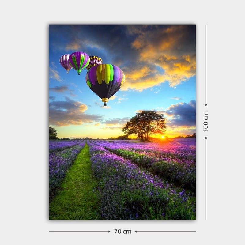 Canvastavla 70x100 cm - Flera färgglada luftballonger sväva över ett lavendelfält i solnedgångens ljus - Lila / Grön / Svart - Inredning - Tavlor & posters - Canvastavla