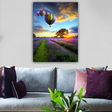 Canvastavla 70x100 cm - Flera färgglada luftballonger sväva över ett lavendelfält i solnedgångens ljus - Lila / Grön / Svart - Inredning - Tavlor & posters - Canvastavla