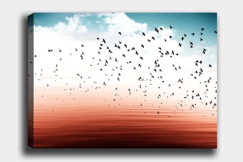 Canvastavla 70x100 cm - Flock av fåglar som flyger över en stilla vattenyta i en harmonisk färgskala, Blå / Korallröd