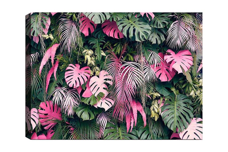 Canvastavla 70x100 cm - Frodig samling av tropiska växter med stora, färgglada blad - Grön / Rosa - Inredning - Tavlor & posters - Canvastavla