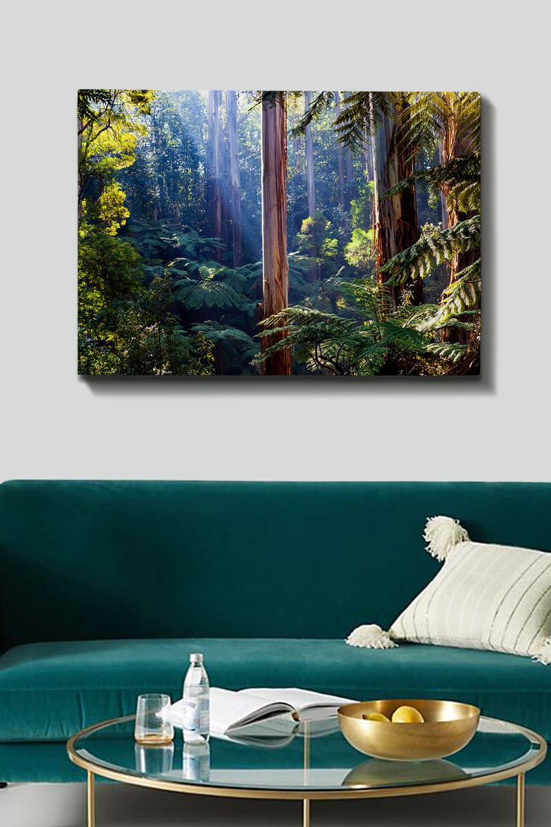 Canvastavla 70x100 cm - Frodig skog med höga träd och gröna växter som skapar en lugn och naturnära atmosfär - Grön / Brun / Ljusblå - Inredning - Tavlor & posters - Canvastavla