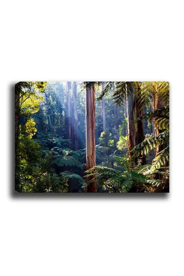 Canvastavla 70x100 cm - Frodig skog med höga träd och gröna växter som skapar en lugn och naturnära atmosfär - Grön / Brun / Ljusblå - Inredning - Tavlor & posters - Canvastavla