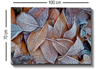 Canvastavla 70x100 cm - Frostiga löv i höstfärger - Orange / Grå / Vit - Inredning - Tavlor & posters - Canvastavla