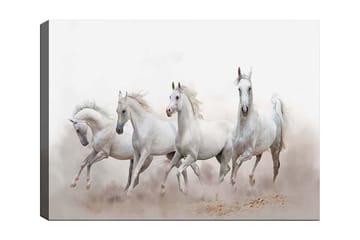 Canvastavla 70x100 cm - Fyra vita hästar som galopperar framåt i en dimmig miljö - Vit / Ljusgrå - Inredning - Tavlor & posters - Canvastavla