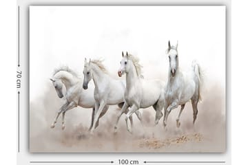 Canvastavla 70x100 cm - Fyra vita hästar som galopperar framåt i en dimmig miljö - Vit / Ljusgrå - Inredning - Tavlor & posters - Canvastavla