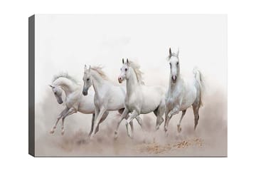 Canvastavla 70x100 cm - Fyra vita hästar som galopperar framåt i en dimmig miljö - Vit / Ljusgrå - Inredning - Tavlor & posters - Canvastavla