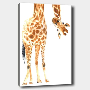 Canvastavla 70x100 cm - Giraff med karakteristiska fläckar som sträcker sig mot betraktaren - Orange / Brun / Svart - Inredning - Tavlor & posters - Canvastavla